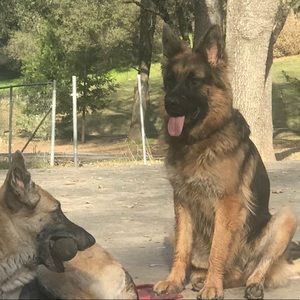 Meet your Posher, Venessa